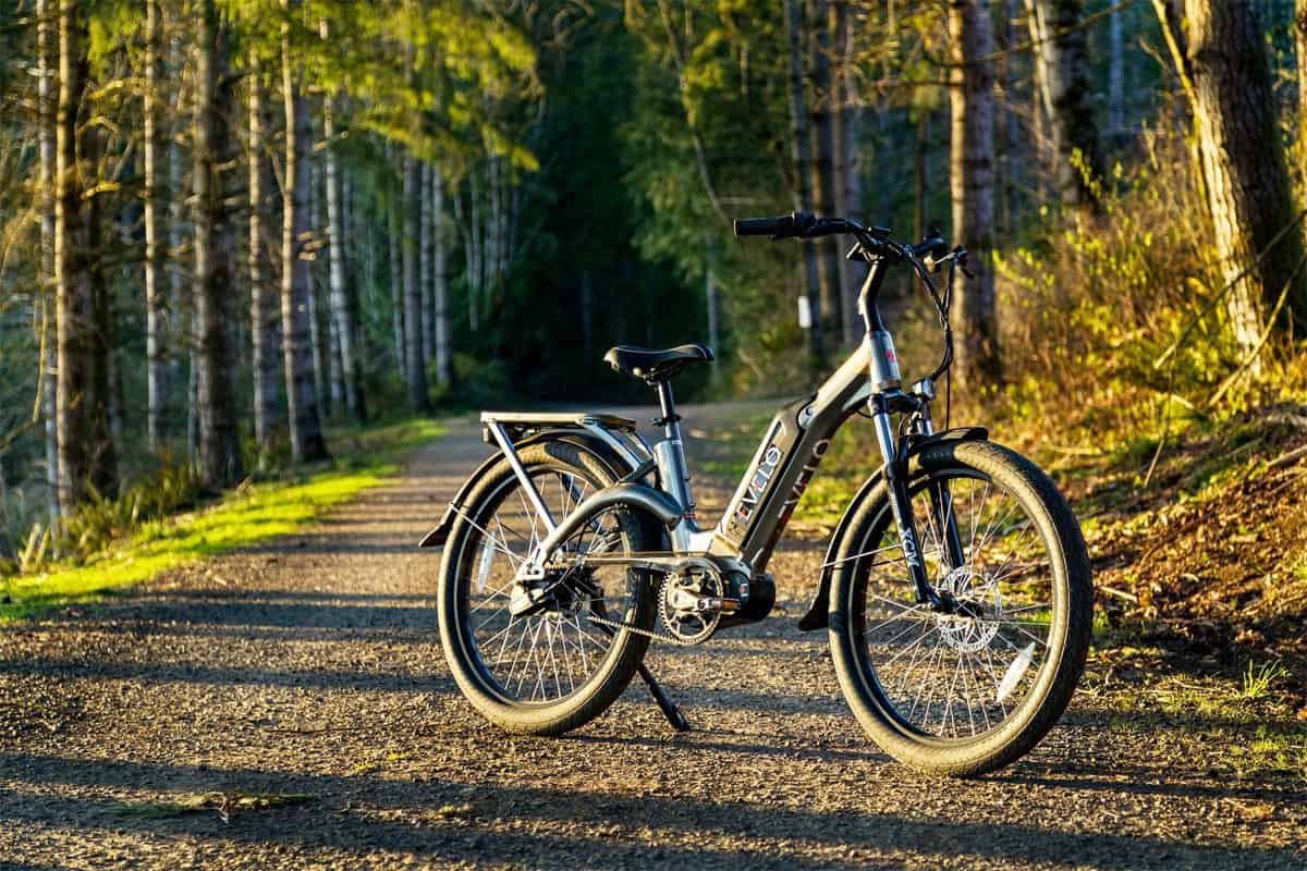 Wie viel Gänge sollte ein E-Bike haben